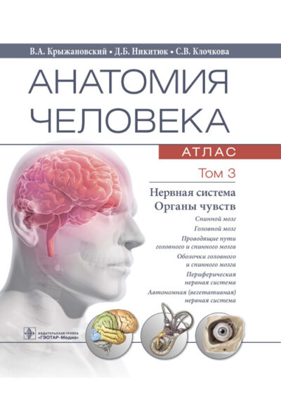 Анатомия человека. Атлас в 3-х томах. Том 3. Нервная система. Органы чувств