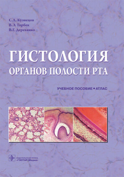 Гистология органов полости рта