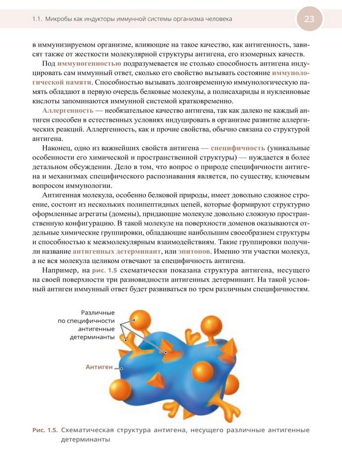 Медицинская иммунология и аллергология, Балмасова И.П., Царёв В.Н.,  Николаева Е.Н. - Интернет-магазине новинок медицинской литературы