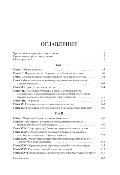 Гистология нервной системы человека и позвоночных — изображение 2