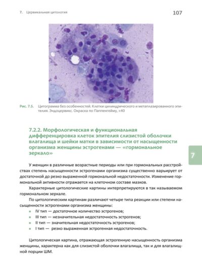 Основы клинической цитологии — изображение 12