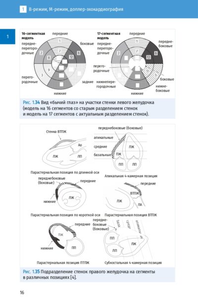 Справочник по эхокардиографии, 3-е издание — изображение 7