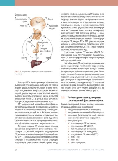 Гормональные исследования в клинической практике. Руководство — изображение 13