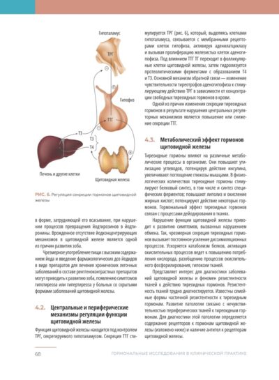 Гормональные исследования в клинической практике. Руководство — изображение 10