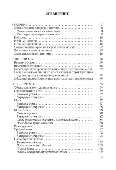 Функциональная анатомия нервной системы — изображение 2