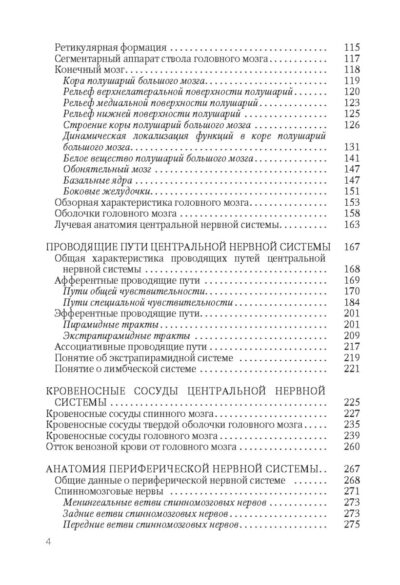 Функциональная анатомия нервной системы — изображение 3