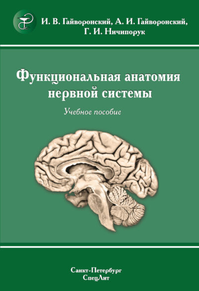 Функциональная анатомия нервной системы