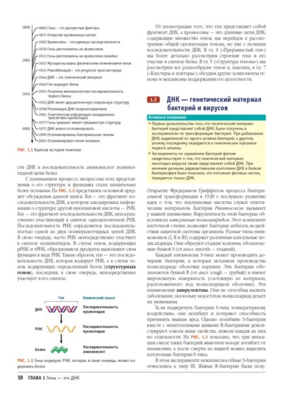 Гены по Льюину 5 изд. — изображение 14