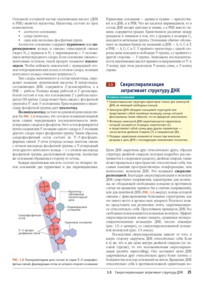 Гены по Льюину 5 изд. — изображение 17