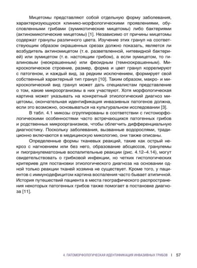 Гистологическая диагностика инвазивных микозов — изображение 16