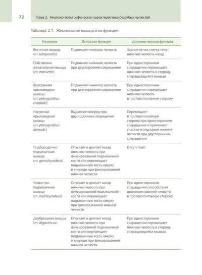 Протезирование при полной потере зубов (классические и инновационные технологии). Учебник — изображение 19