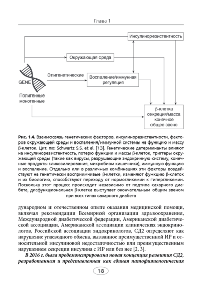 Лечебное питание при сахарном диабете 2 типа — изображение 8