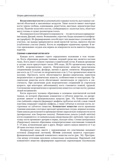 Анатомия человека. Учебник. В 2-х томах. Том I — изображение 5