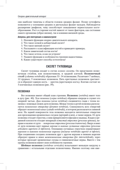 Анатомия человека. Учебник. В 2-х томах. Том I — изображение 13