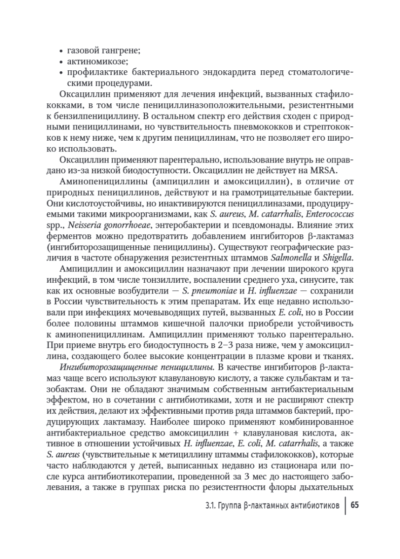 Антимикробная терапия инфекционных болезней у детей. Руководство для врачей — изображение 6