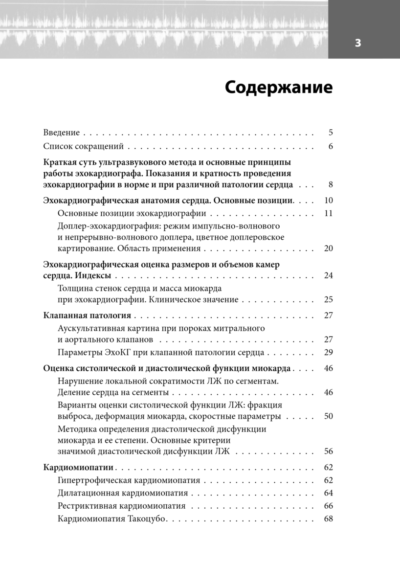 Эхокардиография для начинающих. Суть гемодинамических нарушений, позиции для анализа, определение тяжести порока. 2-е издание, исправленное и дополненное — изображение 2