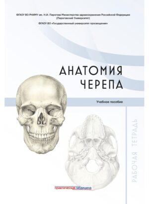 Анатомия черепа. Рабочая тетрадь: учебное пособие
