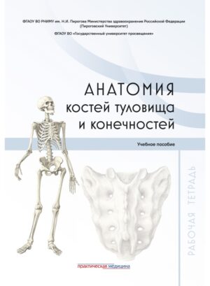 Анатомия костей туловища и конечностей. Рабочая тетрадь: учебное пособие