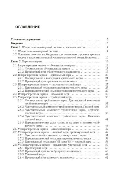 Анатомия черепных нервов и парасимпатической части вегетативной нервной системы — изображение 2