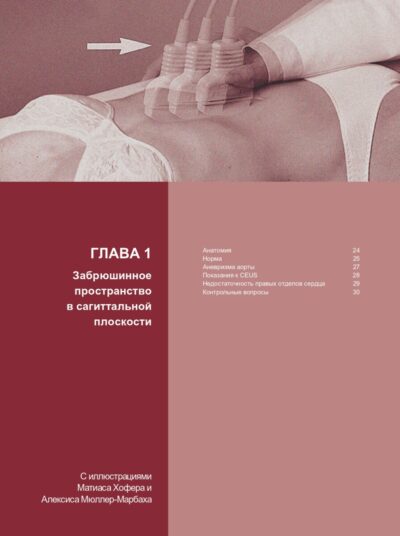 Ультразвуковая диагностика Базовый курс. 3-е издание — изображение 6