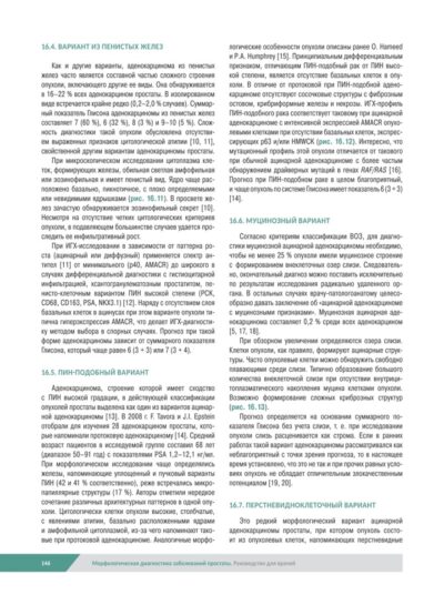 Морфологическая диагностика заболеваний простаты. Руководство для врачей — изображение 4