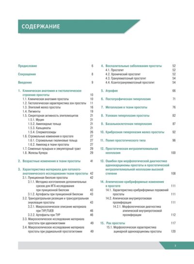 Морфологическая диагностика заболеваний простаты. Руководство для врачей — изображение 13