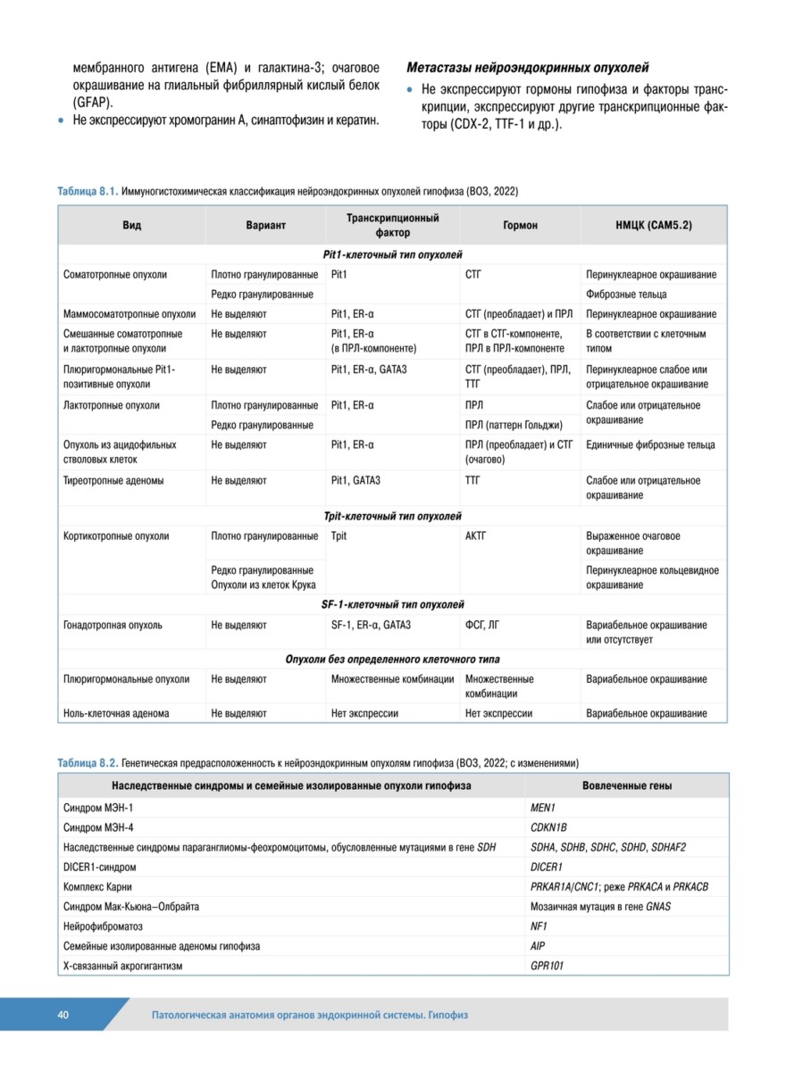 Патологическая анатомия органов эндокринной системы. Гипофиз — изображение 14