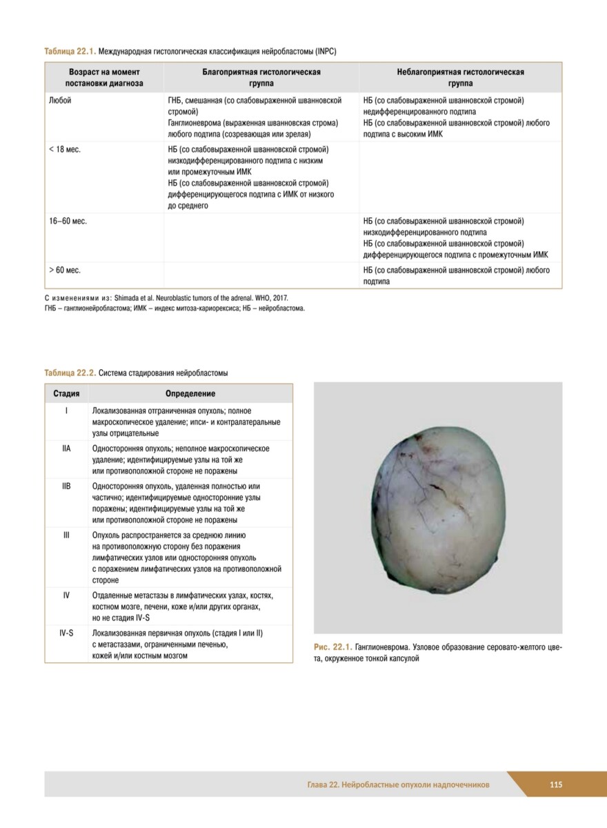 Патологическая анатомия органов эндокринной системы. Надпочечники — изображение 15