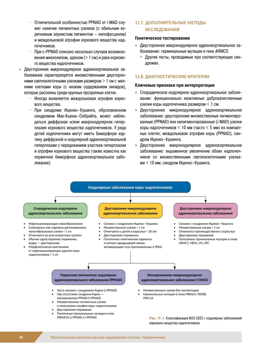 Патологическая анатомия органов эндокринной системы. Надпочечники — изображение 5