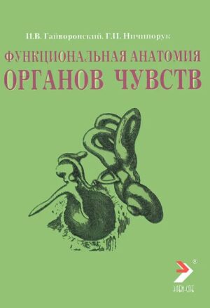 Функциональная анатомия органов чувств