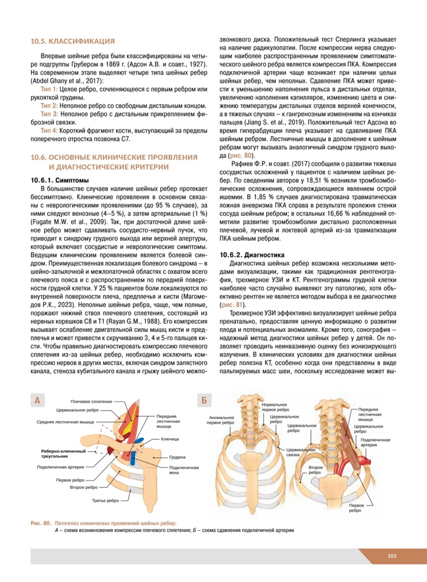 Хирургические заболевания и повреждения шеи. Основы цервикологии. Руководство для врачей — изображение 4