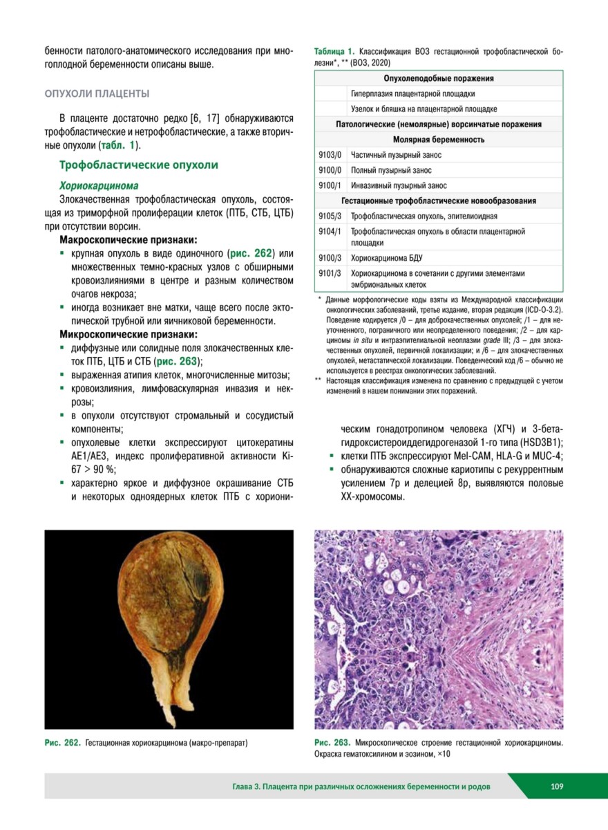 Плацента. Атлас и правила проведения патолого-анатомических исследований — изображение 5