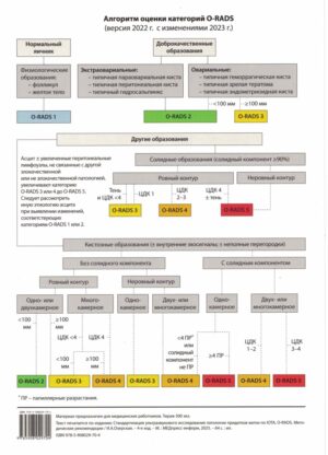 Таблица: Алгоритм оценки категорий O-RADS (версия 2022 г. с изменением 2023 г.)