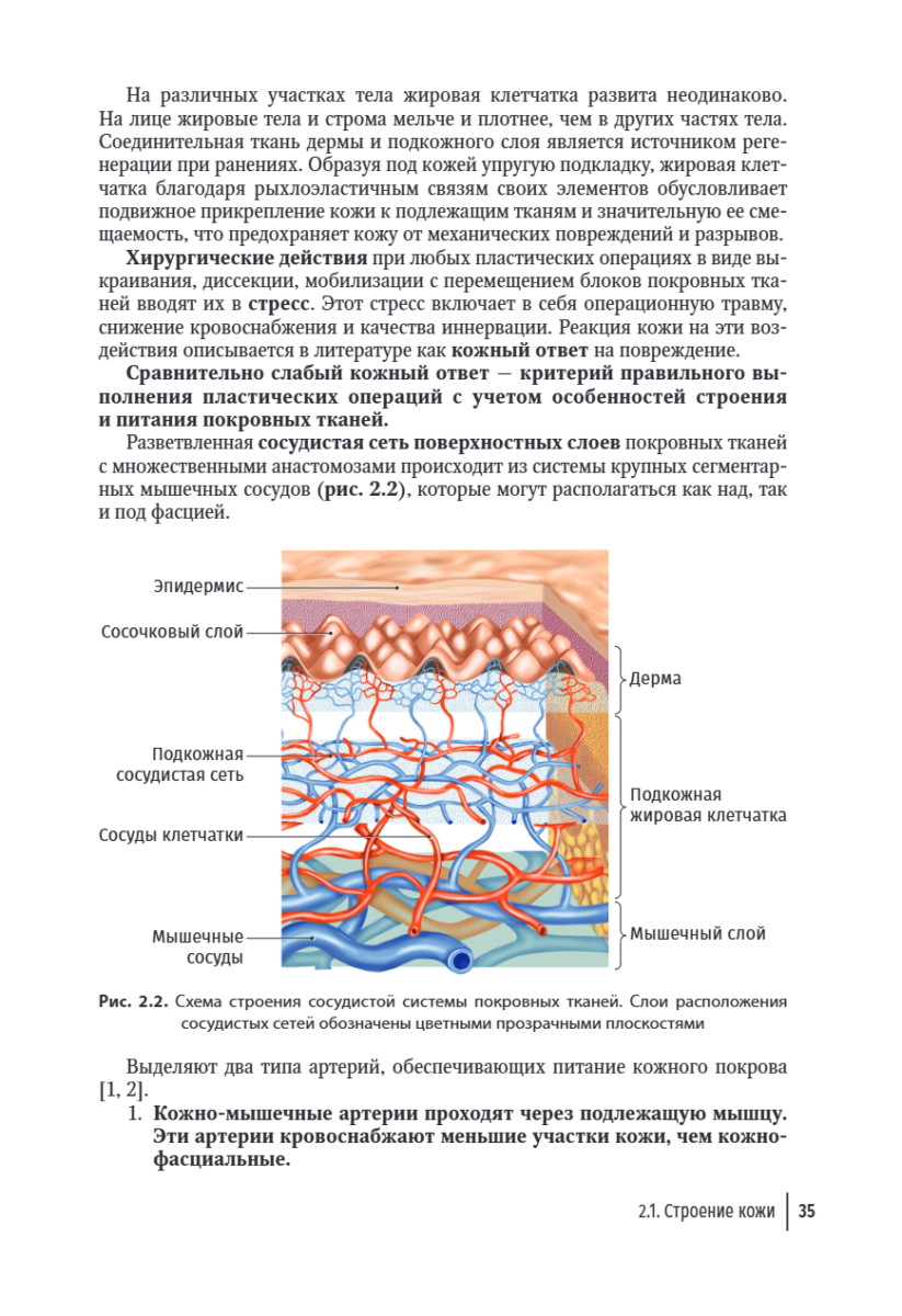 Пластика местными тканями на лице. Учебное пособие для врачей — изображение 7