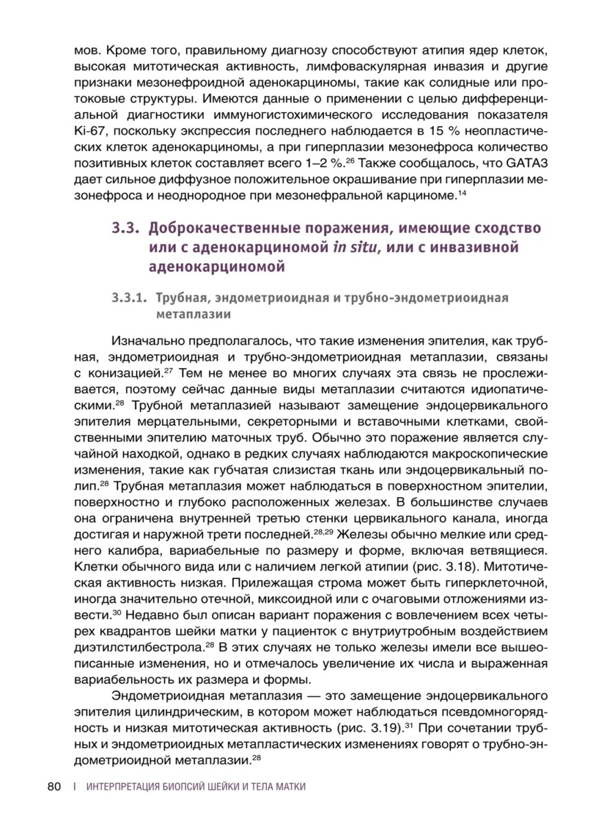 Интерпретация биопсий шейки и тела матки — изображение 12