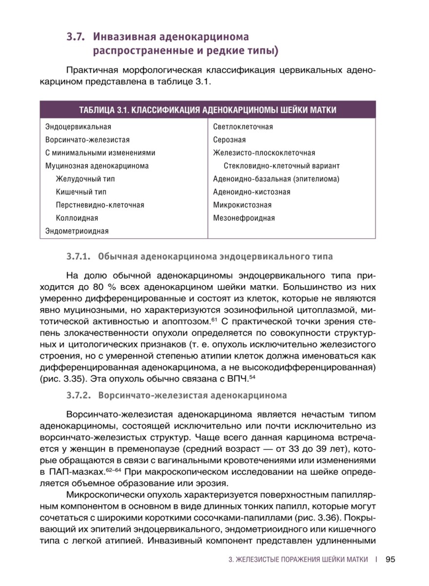 Интерпретация биопсий шейки и тела матки — изображение 11