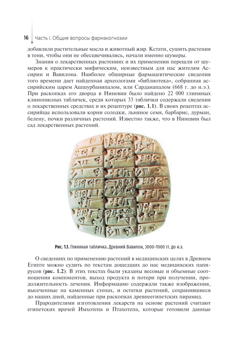 Лекарствоведение с основами фармакогнозии. Учебник — изображение 2
