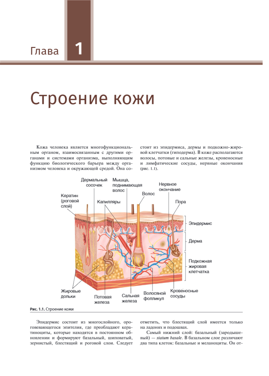 Иллюстрированное руководство по дерматологии (при подготовке врачей к аккредитации) — изображение 10
