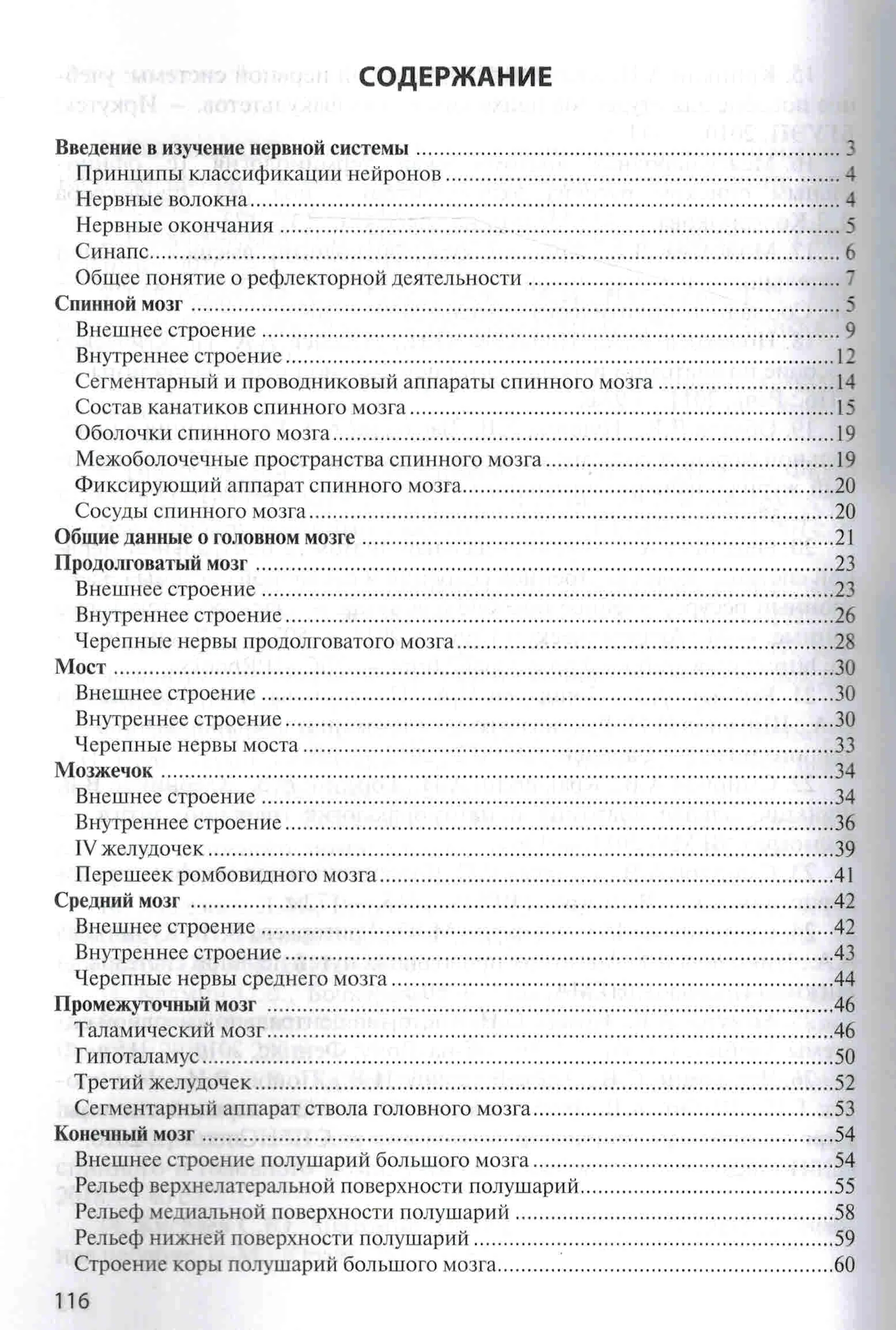 Анатомия центральной нервной системы — изображение 2