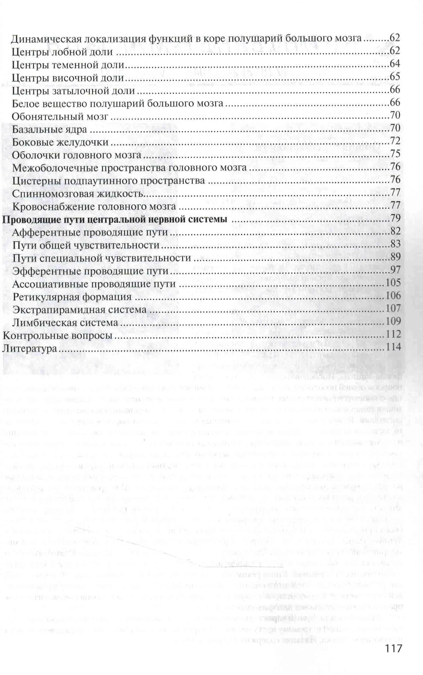 Анатомия центральной нервной системы — изображение 3