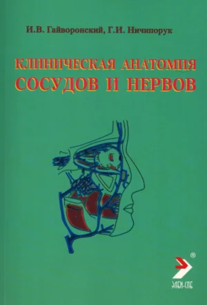 Клиническая анатомия сосудов и нервов