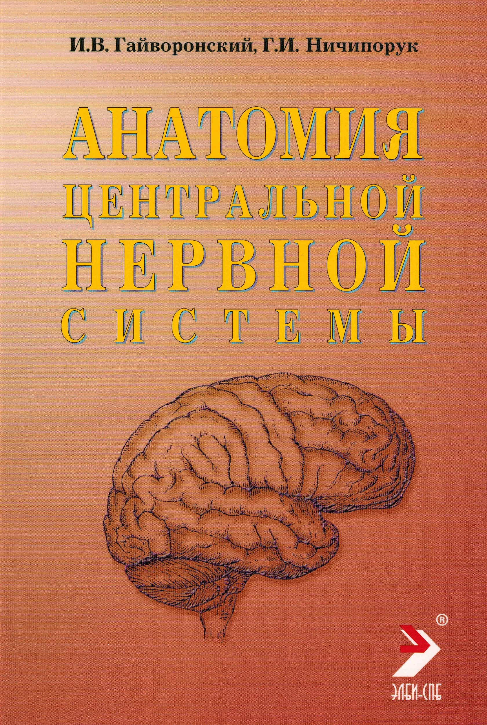 Анатомия центральной нервной системы