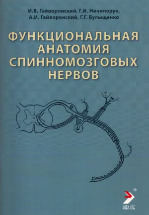 Функциональная анатомия спинномозговых нервов
